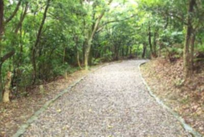 五指山系_大崙頭尾山親山步道
